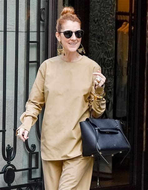 does celine dion own celine bags|Celine belt bag buy online.